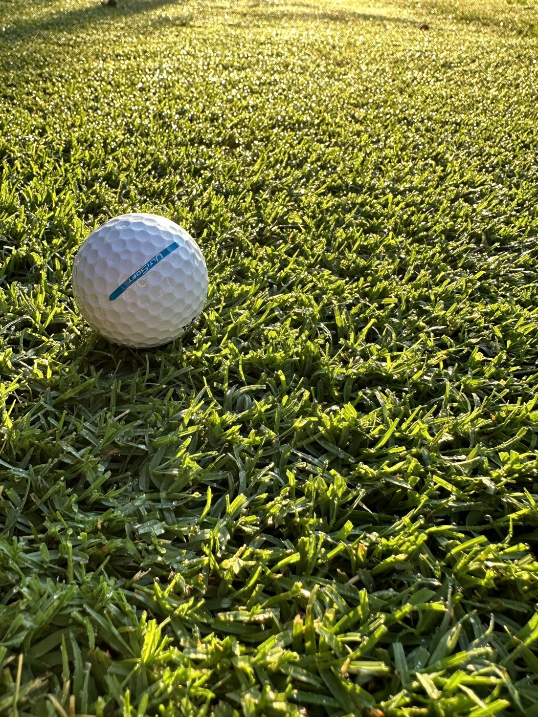 Pallina da golf sul tappeto erboso