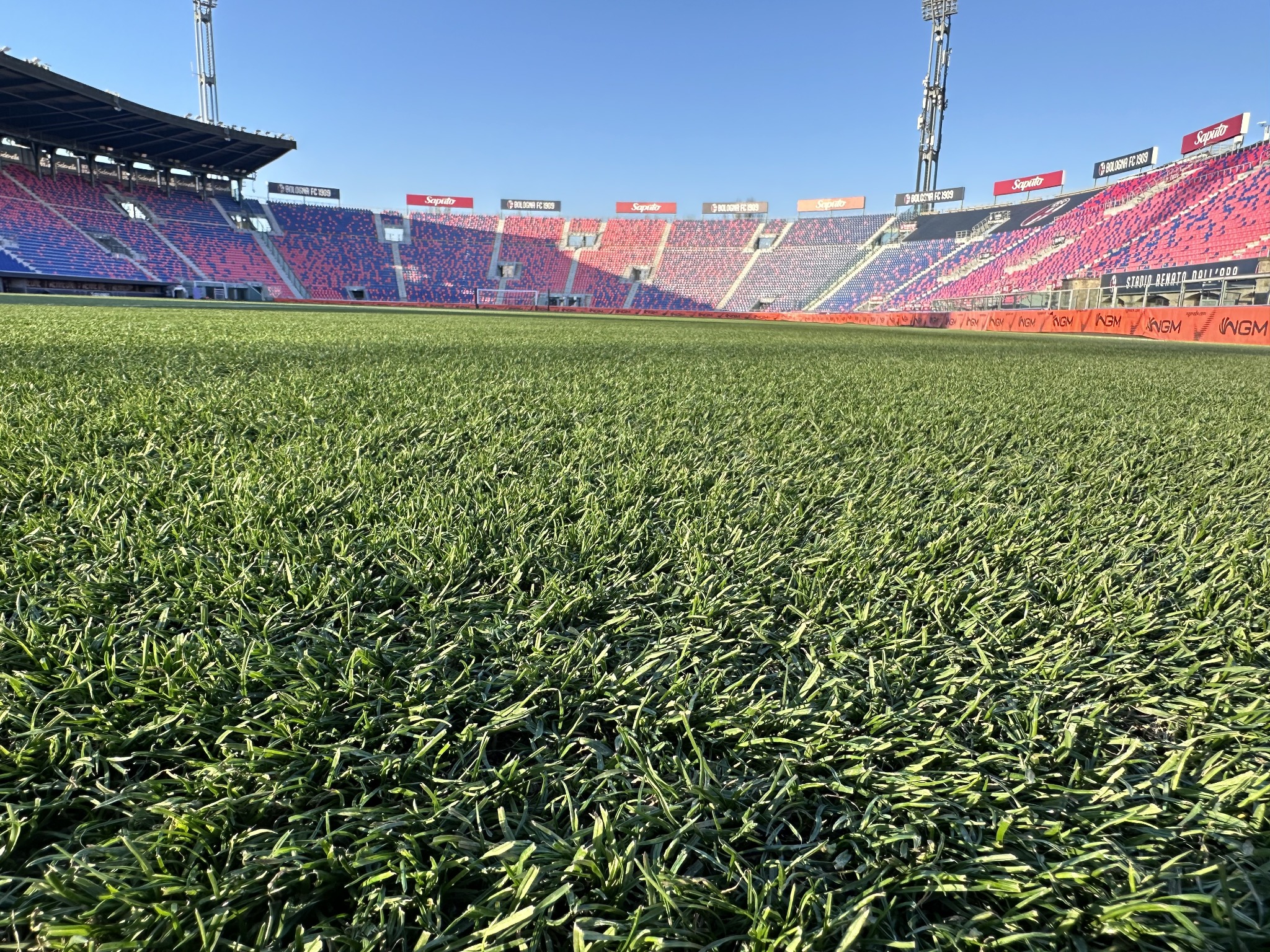 Campo da calcio dello stadio di Bologna